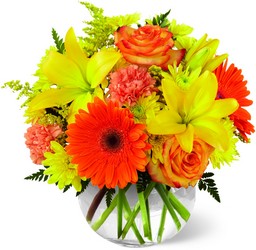 The Vibrant Views Bouquet from Visser's Florist and Greenhouses in Anaheim, CA